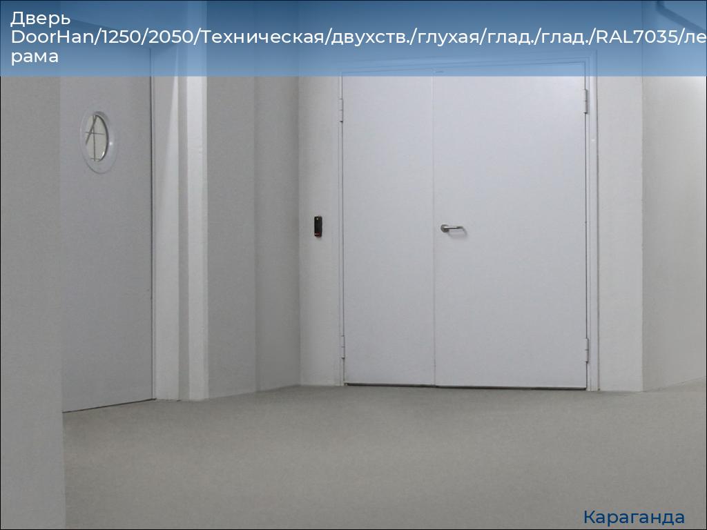 Дверь DoorHan/1250/2050/Техническая/двухств./глухая/глад./глад./RAL7035/лев./угл. рама, karaganda.doorhan.ru