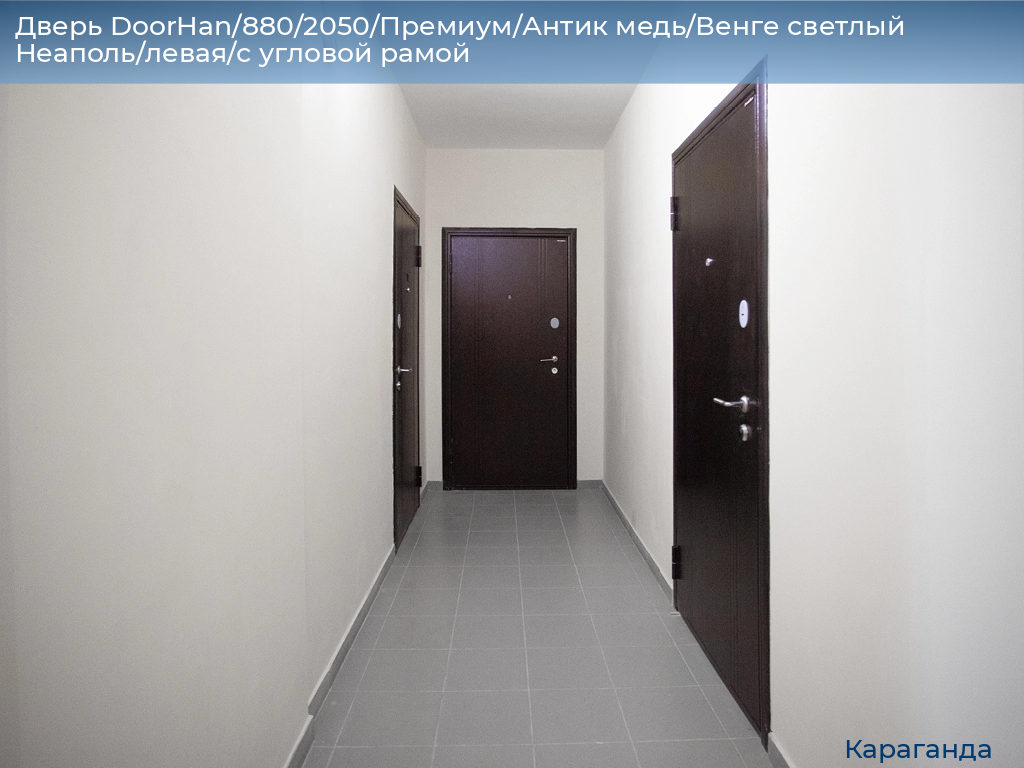 Дверь DoorHan/880/2050/Премиум/Антик медь/Венге светлый Неаполь/левая/с угловой рамой, karaganda.doorhan.ru